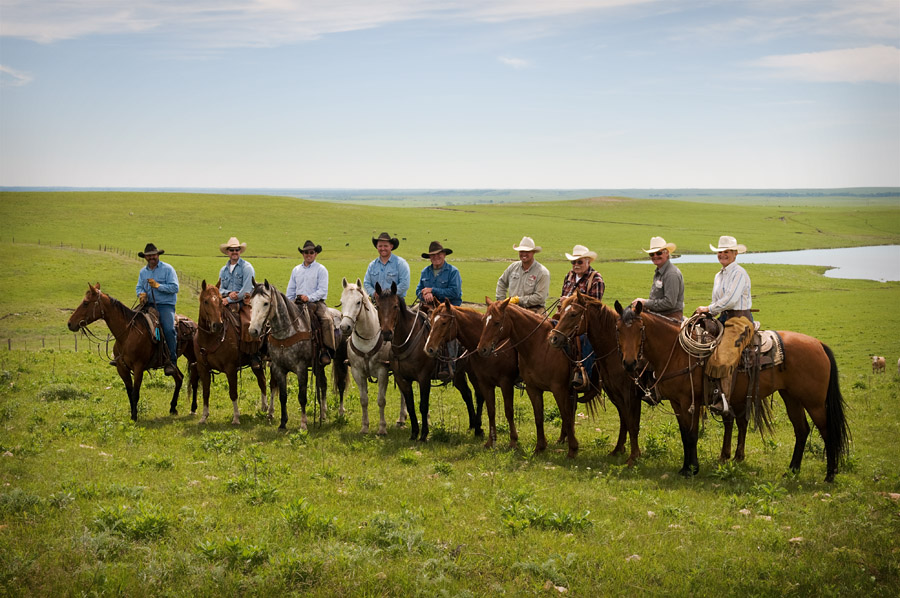 Cowboys Of Prairies